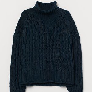 H&M Chunky Turtleneck Sweater